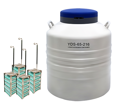 YDS-65-216.png YDS-65-216.png